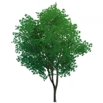 「狩人の暗哨」 (60キロバイト) 「狩人の暗哨」