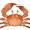 Sun Crab