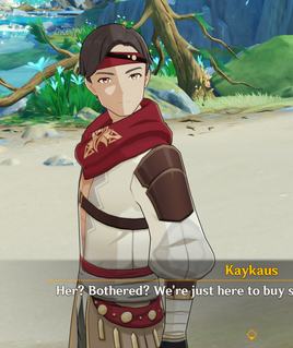 NPC Kaykaus