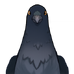 Crow (Furnishing)