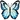Light Blue Butterfly