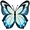 Light Blue Butterfly