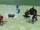 Adaptive Combat