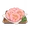 緋櫻えびせんべい