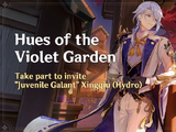 Hues of the Violet Garden