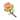 Marcotte