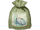 Frostlamp Flower Seed