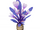 Violet Silk Star Hibiscus