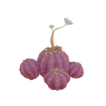 The Hidden Sweetness