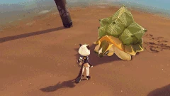 Tent Tortoise Spin