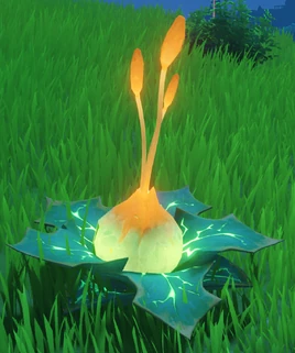 Clusterleaf of Cultivation