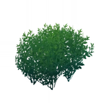 「仙茶の根幹」 (54キロバイト) 「仙茶の根幹」