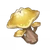 Starshroom