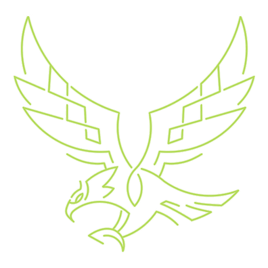 Vultur Volans Shape
