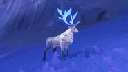 In the wild (healing available)