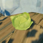 Item Cabbage Wild.png (1.29 MB) In the wild
