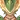 Yumkasaurus Warrior: Whirling Leaves
