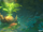 Tree of Dreams