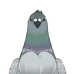 Graywing Pigeon (Furnishing)