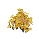 The Leaf Veins, Supple and Subtle