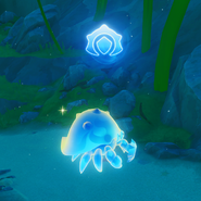 Xenochromatic Armored Crab