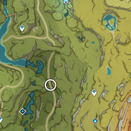 Local no Mapa