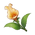 Snapdragon