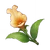 Item Snapdragon