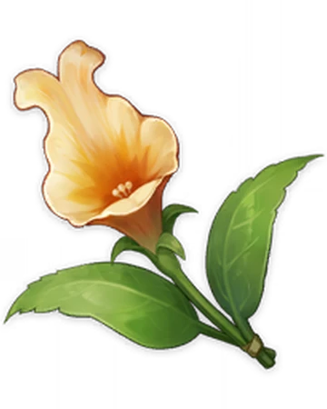 キンギョソウ 原神 Wiki Fandom