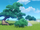 Dialogue Twixt Ancient Tree and Rock