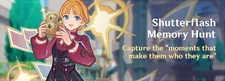Shutterflash Memory Hunt