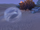 Small Atmospheric Vortex
