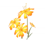 Flaming Catalyst