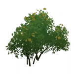 「晶蝶の休む枝」 (57キロバイト) 「晶蝶の休む枝」