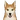 Shiba