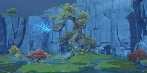 Viewpoint Moonlit Tree