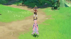 Eremite Sword-Dancer Taunt