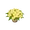 Noontide Silkpod