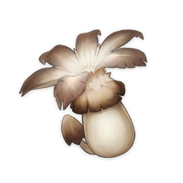 Philanemo Mushroom Genshin Impact Wiki Fandom