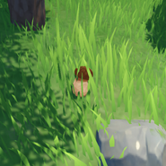 In the wild