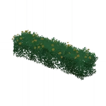 花期の低木 (34キロバイト) 花期の低木