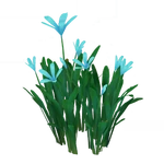 Aquamarine Butterfly Bush