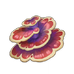 Nấm Biến Dị
