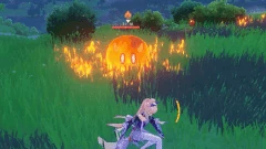 Large Pyro Slime Fireballs