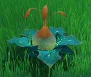 After Triggered by Dendro