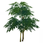 「隠れの葉」 (62キロバイト) 「隠れの葉」