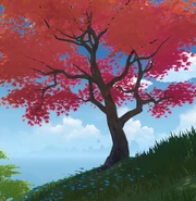 Item Maple Wood Wild.png (1.27 MB) Maple Tree