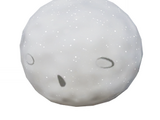 Snowman Head: Catsclamation