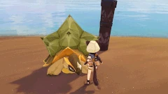 Tent Tortoise Invincibility