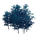 「竺生御納戸」 (67キロバイト) 「竺生御納戸」